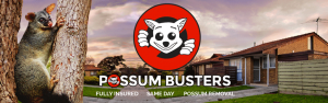 01-Possum-Busters-Main-Slider-w-Logo