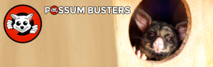 03-Possum-Busters-Possum-Removal-Possum-Boxes-Slider