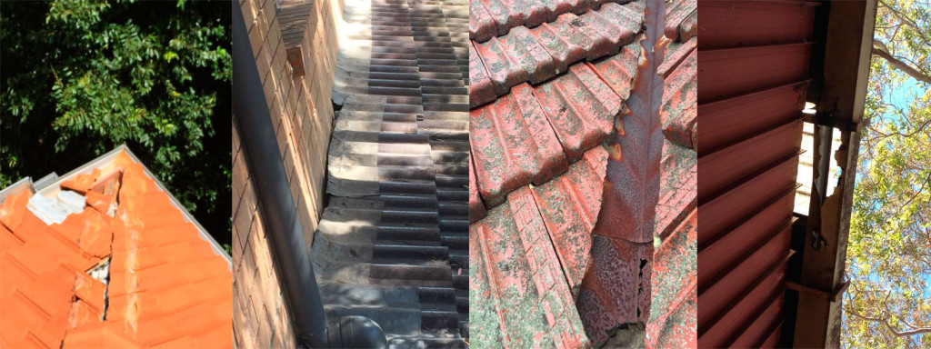 Roof Repairs