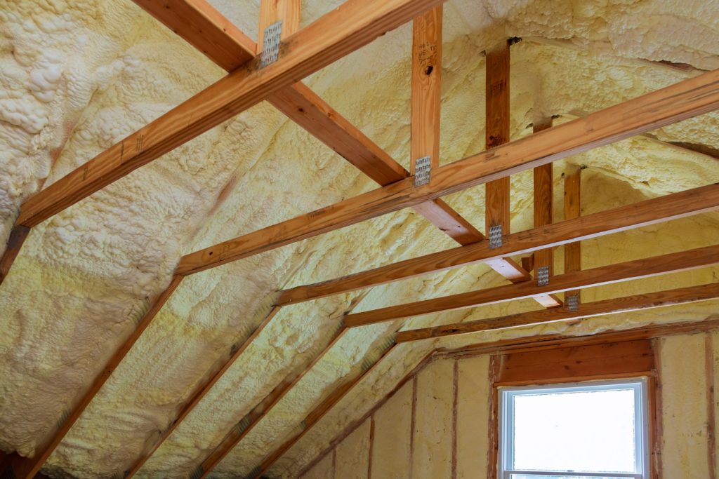 Roof Cavity Maintenance Essentials Beyond Possum Removal