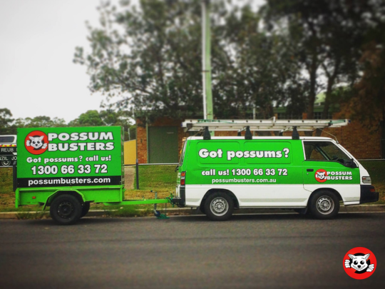 Do Any Providers Offer Free Quotes for Possum Removal?