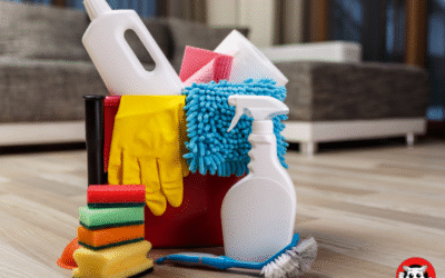 Eliminating Possum Smell