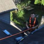 Seasonal Pest Control Checklists for Strata Properties