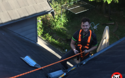 Seasonal Pest Control Checklists for Strata Properties