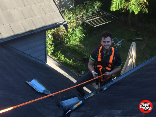 Seasonal Pest Control Checklists for Strata Properties